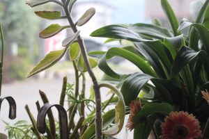 Banner1