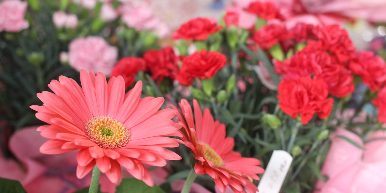 Banner2
