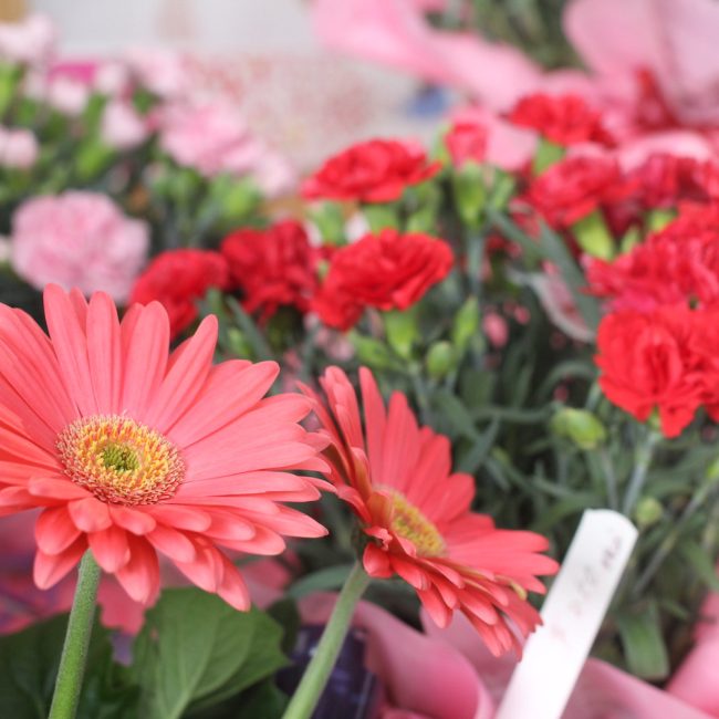 Banner2