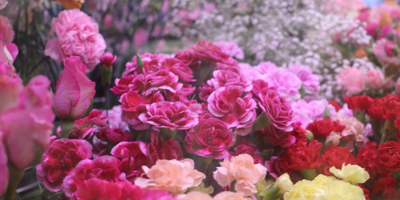 Banner4