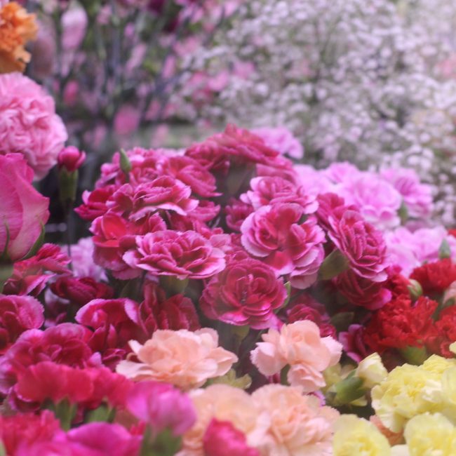 Banner4