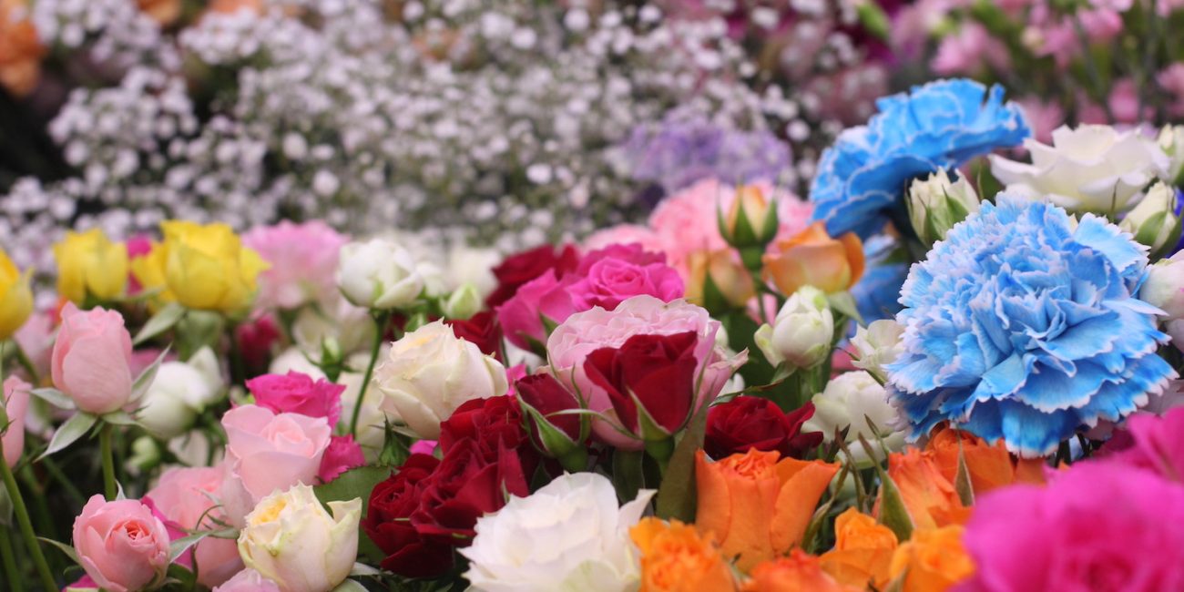 Banner5