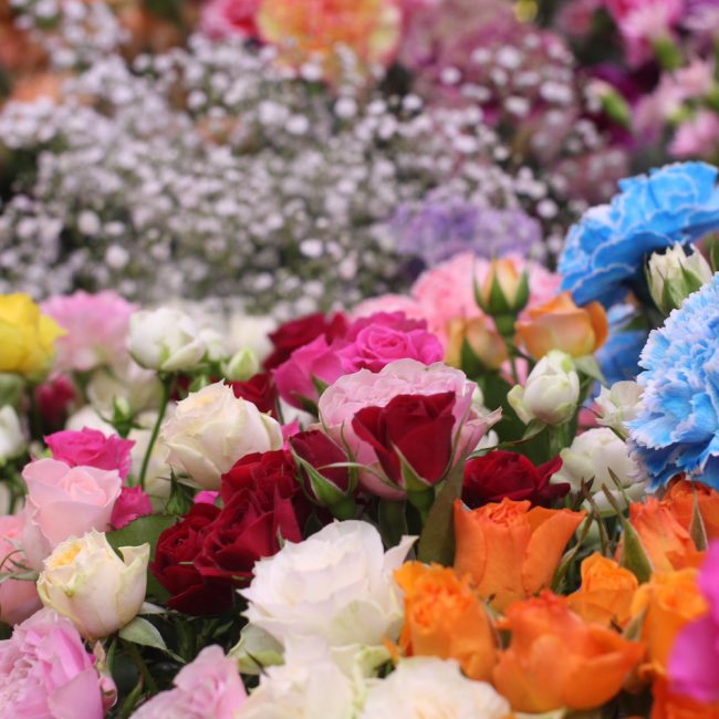 Banner5