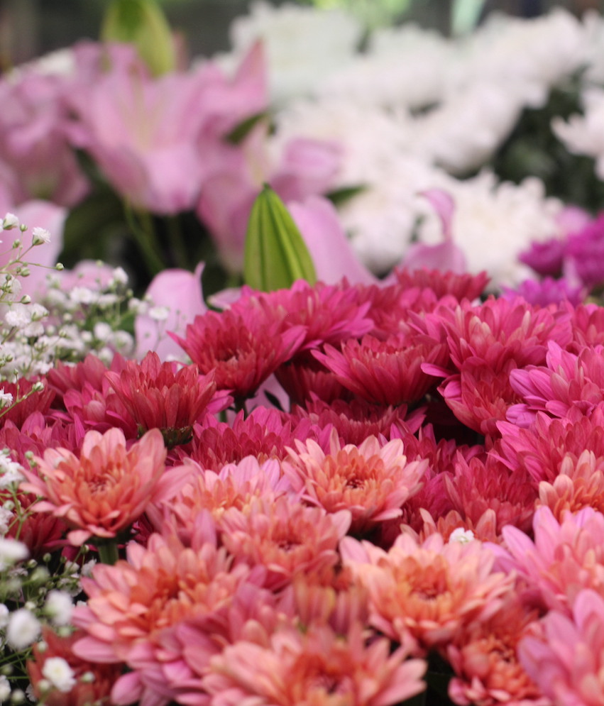 Banner6