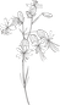 ホームイラスト①