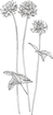 ホームイラスト②