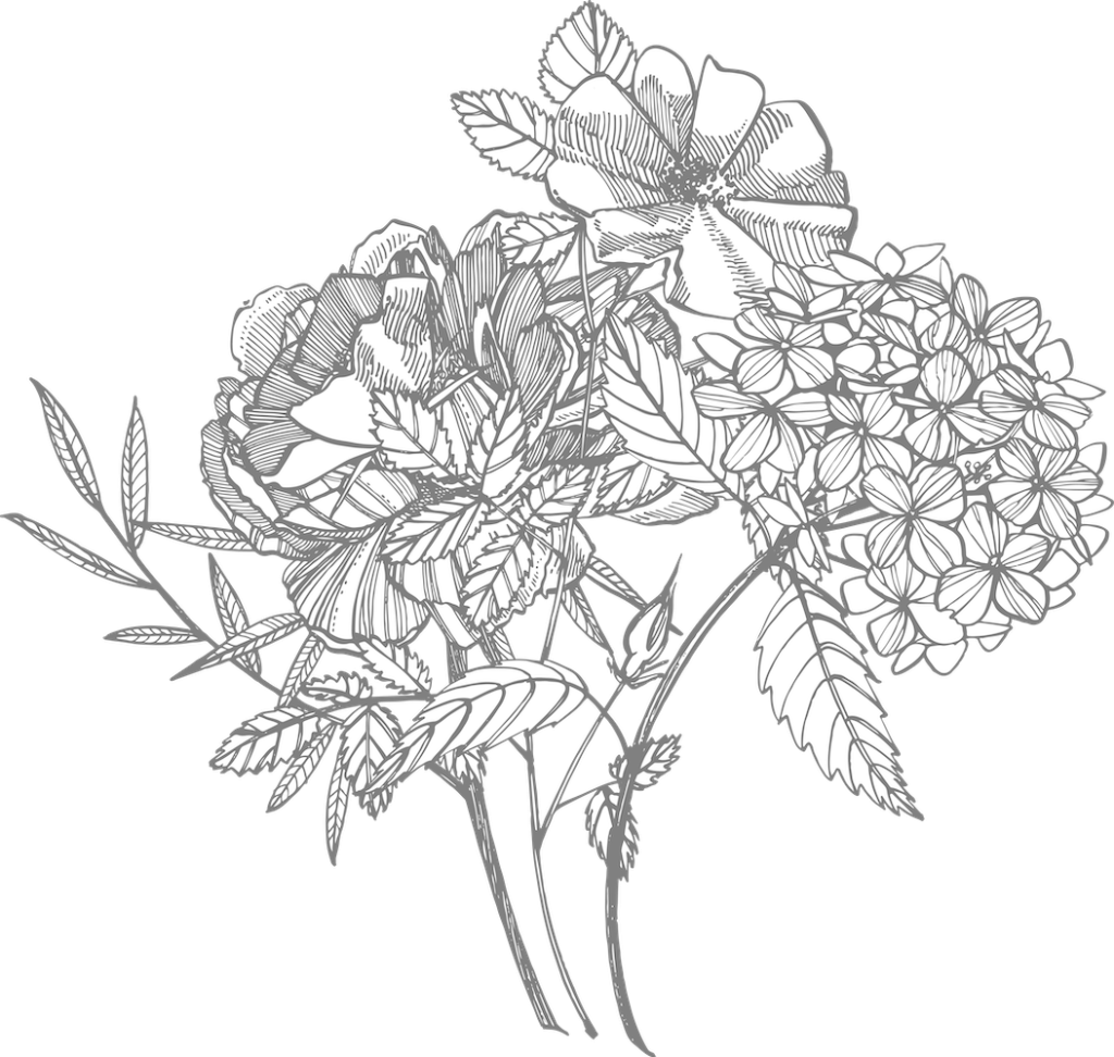 ホームイラスト大