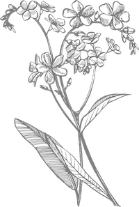 固定ページイラスト⑤